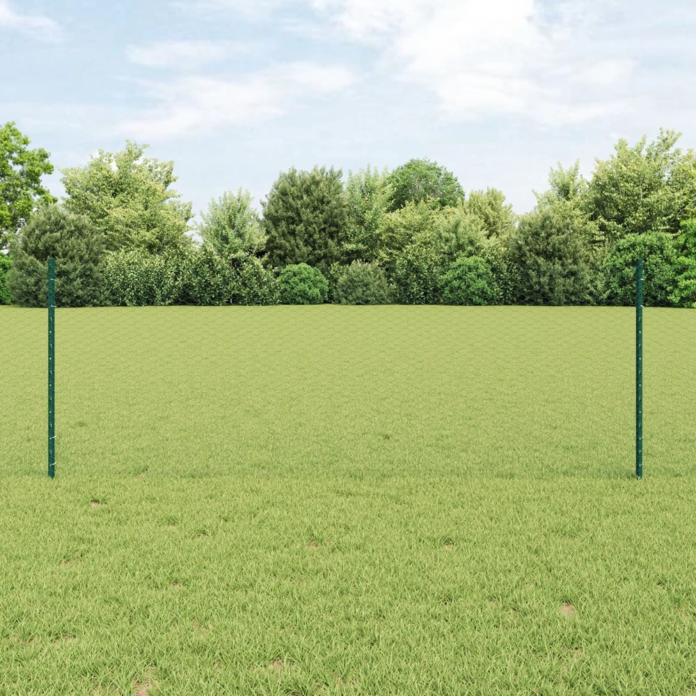 Hexagonal Fence with Post 10 x 0,8 m PVC dengtas plienas Žalia