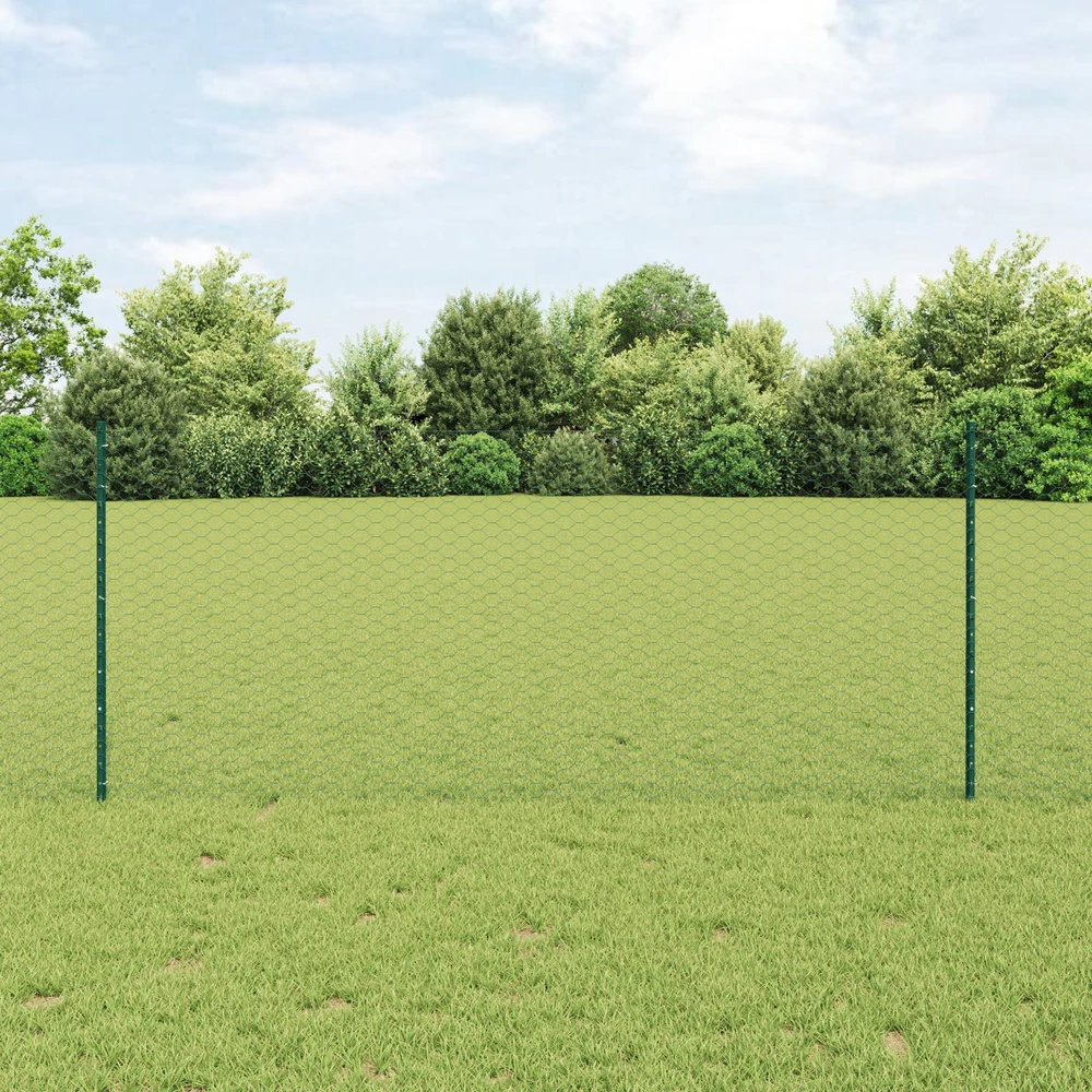 Hexagonal Fence with Post 10 x 1 m PVC dengtas plienas Žalia
