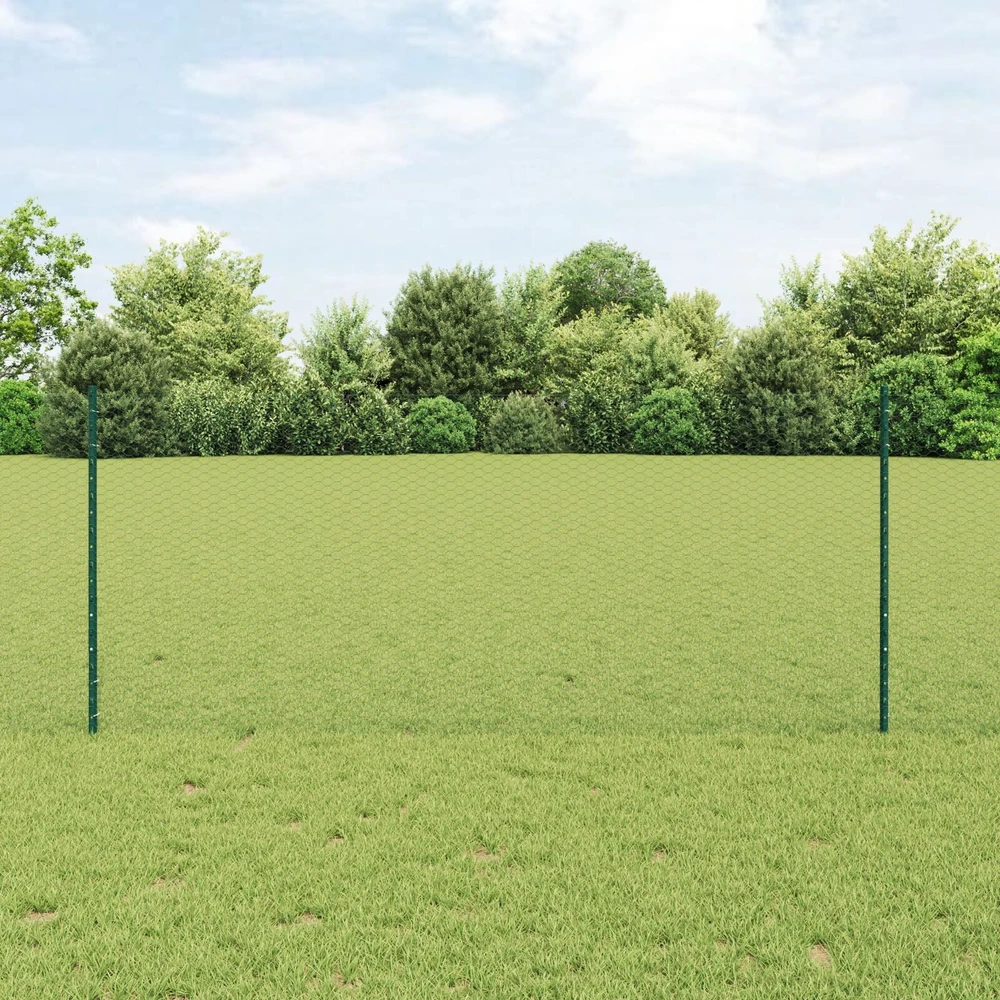 Hexagonal Fence with Post 100 x 1 m PVC dengtas plienas Žalia