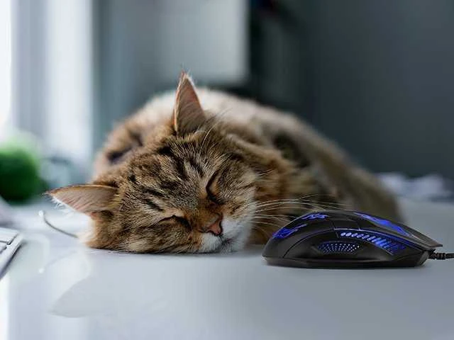 Sven žaidimų pelė RX G720 USB (tyli, 5+1 jungtys, 1200 3200 DPI, „SoftTouch“, foninis apšvietimas)