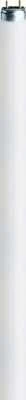 Osram 8W LUMILUX T5 trumpa lemputė, G5, 4000K, 302,5 mm