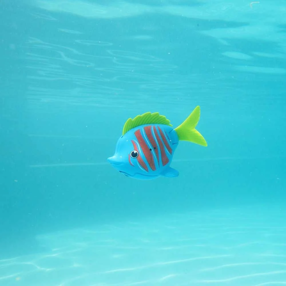 Swims Plaukimai – Rainbow Reef Beta Fish – (6072503)