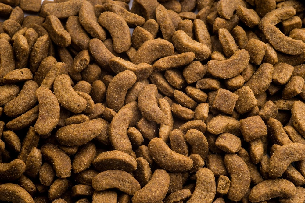 Synteza Club 4 Paws Adult Medium Breeds sausas Maistas šunims, 2kg