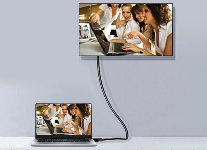 AV signalo perdavimo sistema „Equip Equip DisplayPort 1.4 St/St 5.0m 8K/60Hz comp.HDCP Premium sw