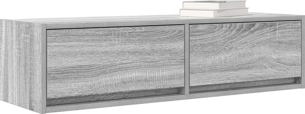 TV staliukas Televizoriaus spintelė 100 x 31 x 25,5 cm Pilka sonoma ąžuolo