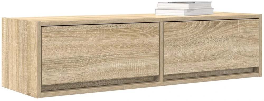 TV staliukas Televizoriaus spintelė 100 x 31 x 25,5 cm Sonoma ąžuolas