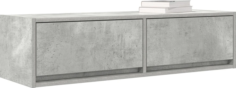 TV staliukas Televizoriaus spintelė 100 x 31 x 25,5 cm Betono pilka