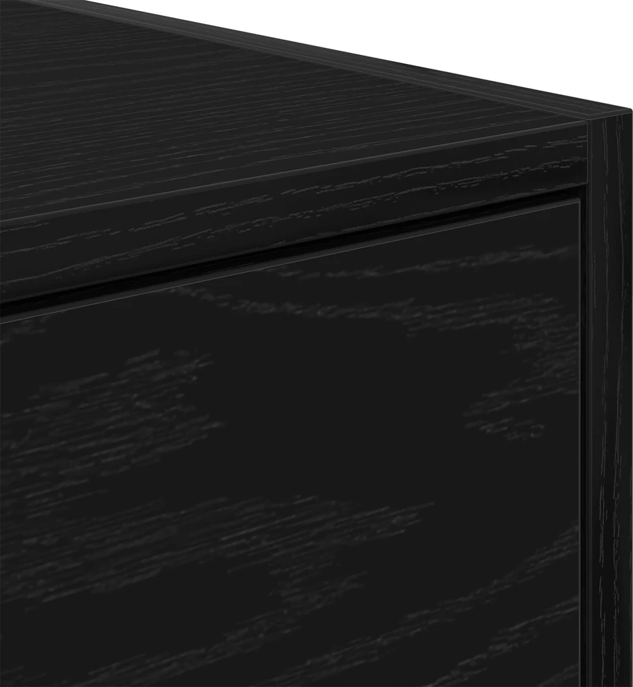 TV staliukas Televizoriaus spintelė 100 x 31 x 25,5 cm juoda ąžuolo