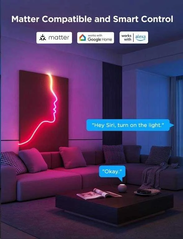 Govee LED juostelė 3m H61D3301 neoninė virvė 2