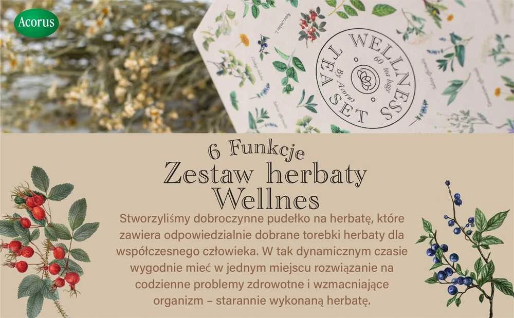 Arbatos rinkinys ACORUS Wellness, 60 vnt.