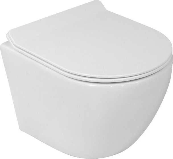 Tece TECEprofil unitazo modulis, pritaikytas žmonėms su negalia, su Uni vandens bakeliu, aukštis 1120 mm 9300381