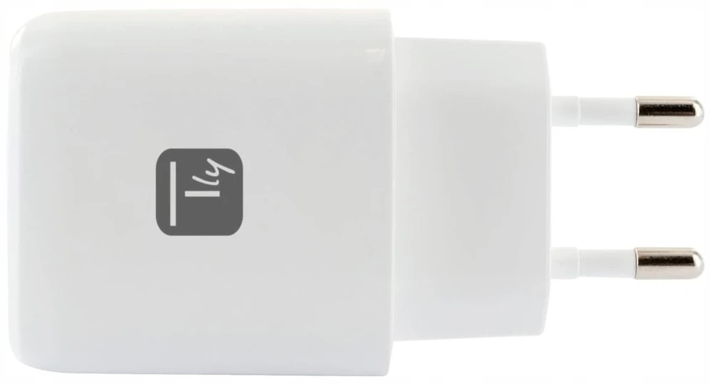Techly Tinklo įkroviklis GaN 1x USB-A 1x USB-C (TLY_621895)
