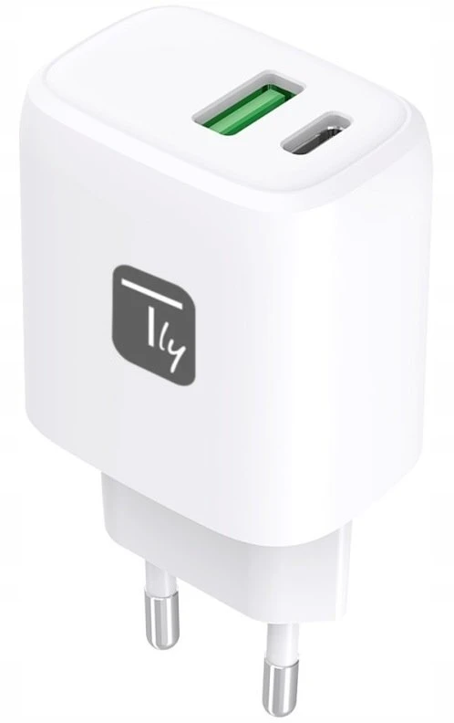Techly Tinklo įkroviklis GaN 1x USB-A 1x USB-C (TLY_621895)