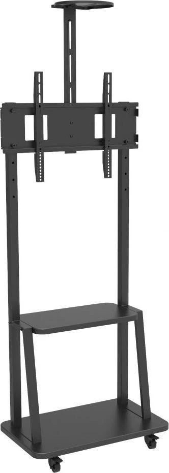 Laikiklis TECHLY grindų atrama su lentyna LCD / LED / plazminiam televizoriui 32-70 colių 60 kg