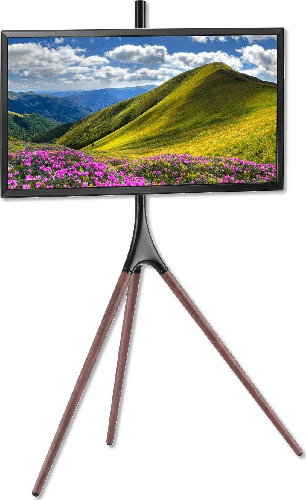 TECHLY 105209 Techly Fixed universalus trikojo laikiklis televizoriui LCD/LED/Plasma 45-65 35kg VESA
