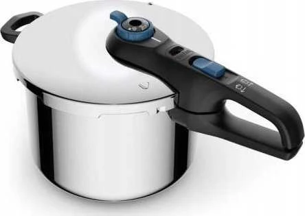 Tefal Secure Trendy P2580701 6 l sidabrinė