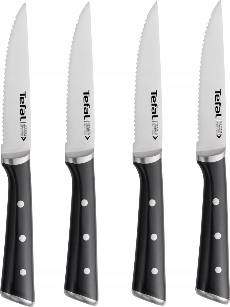 Peilių komplektas Tefal Ice Force K232S414, 4 dalių