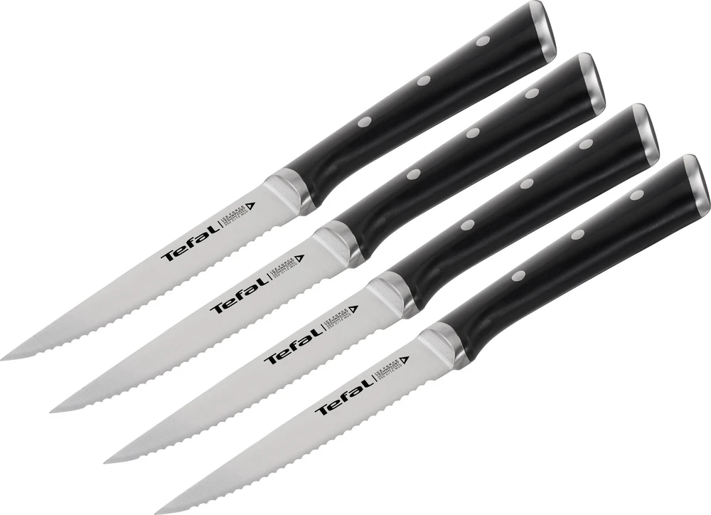 Peilių komplektas Tefal Ice Force K232S414, 4 dalių