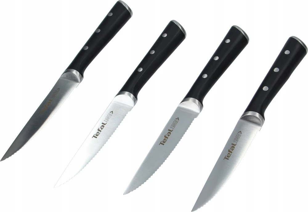 Peilių komplektas Tefal Ice Force K232S414, 4 dalių
