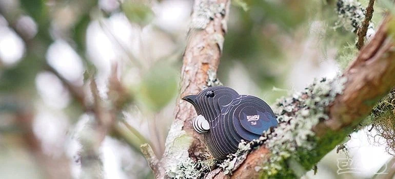 Teka Bird Skirtas garbanotiems plaukams Eugy. Eco* 3D dėlionė