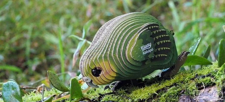 Teka Kakapo Eugy papūga Eco* 3D dėlionė