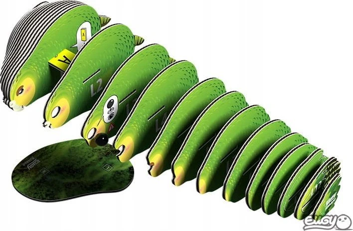 Teka Kakapo Eugy papūga Eco* 3D dėlionė