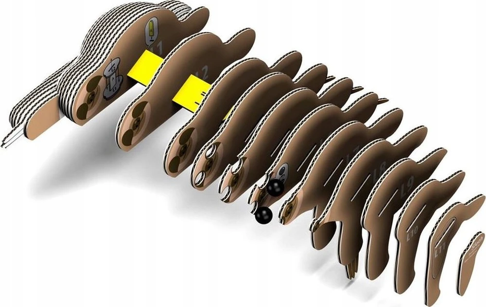 Dėlionė EUGY 3D kartoninis modelis „Tinginys“