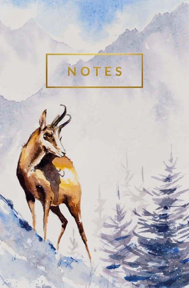 Teka Notes kalnai