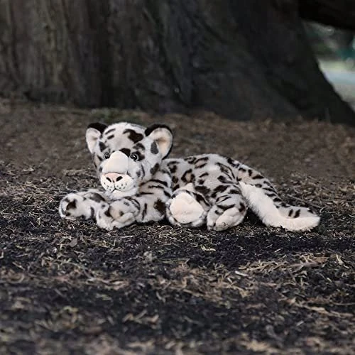 Teka Sniego leopardas