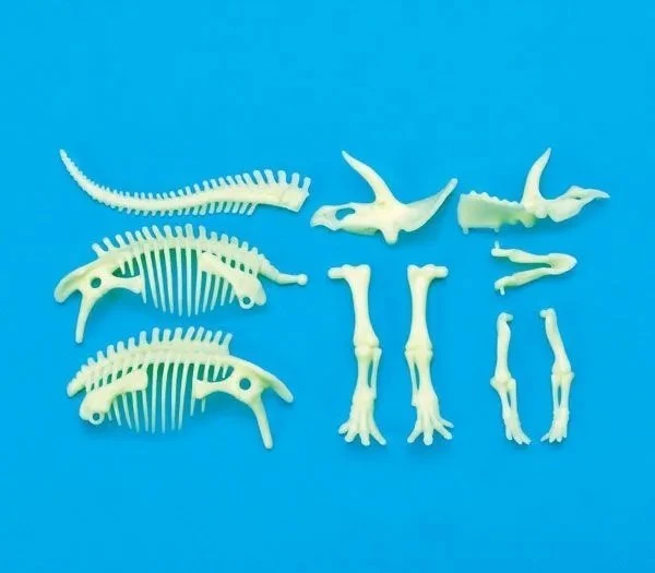 Teka tamsoje šviečiantis triceratopso skeletas
