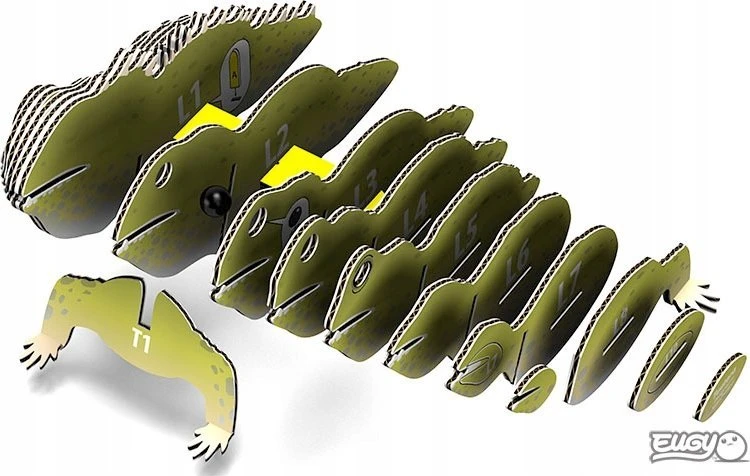 Teka Tuatara roplių Eugy. Eco* 3D dėlionė