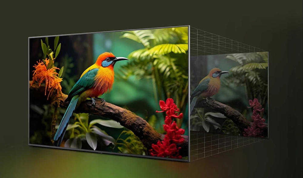 Televizorius LG 43QNED84A6C