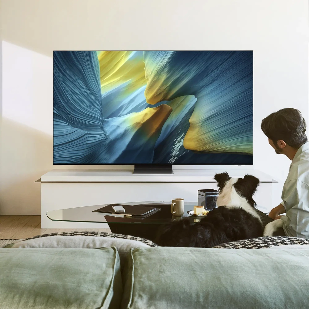 Televizorius Samsung 65" QE65S95FATXXH 2025m. modelis