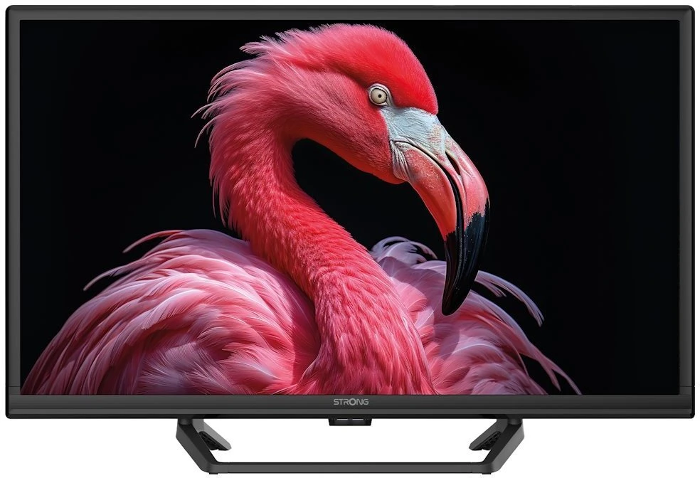 Televizorius Strong TV 24 230/12Volt Google TV SRT24HG4723C juoda