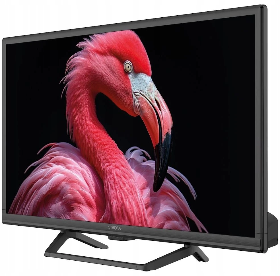Televizorius Strong TV 24 230/12Volt Google TV SRT24HG4723C juoda