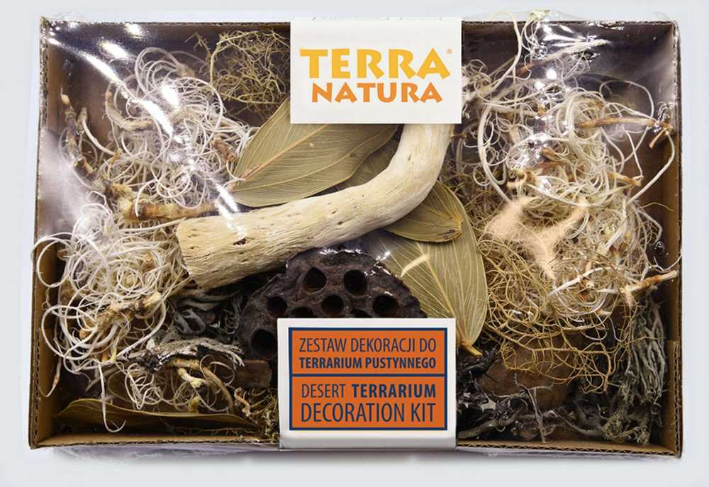 Terra Natura Dekoracijų rinkinys dykumos terariumui
