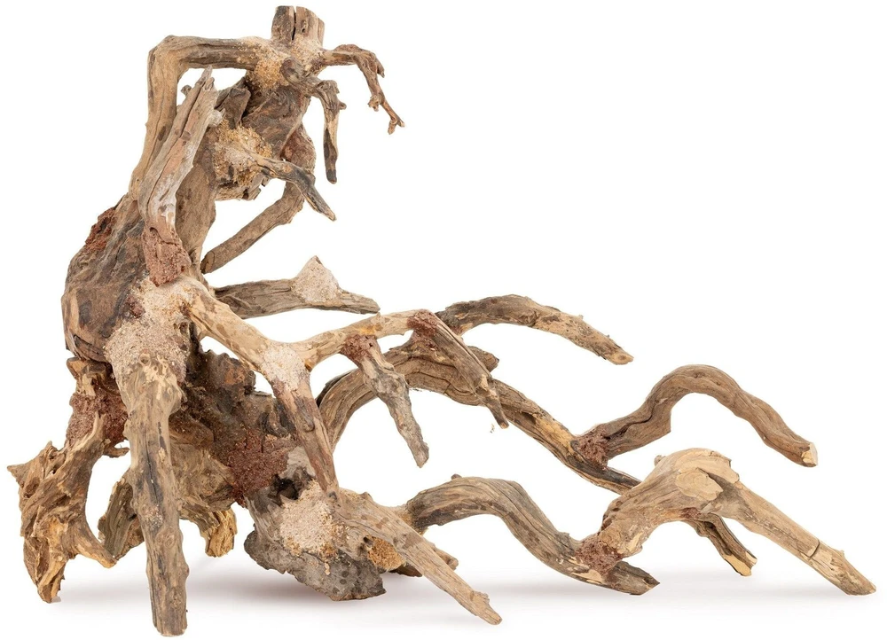 Terra Natura šaknis bonsai akvariumui 64