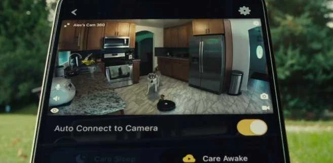 PetCube Cam 360
