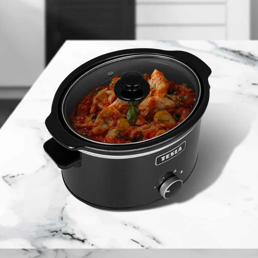 TESLA SlowCook S350