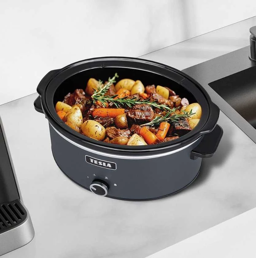 TESLA SlowCook S500