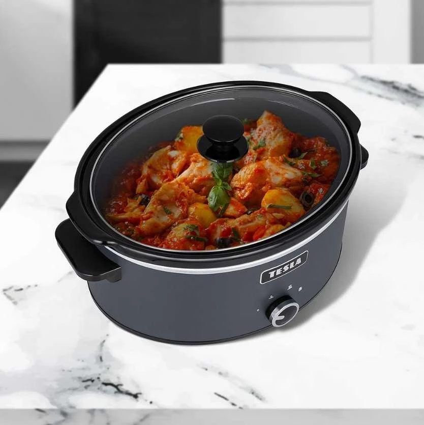 TESLA SlowCook S500
