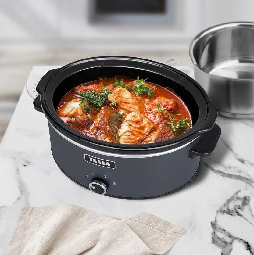 TESLA SlowCook S500