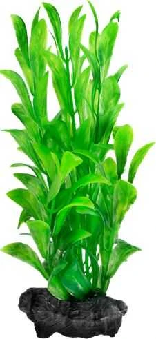 Tetra DecoArt Augalas Hygrophila L
