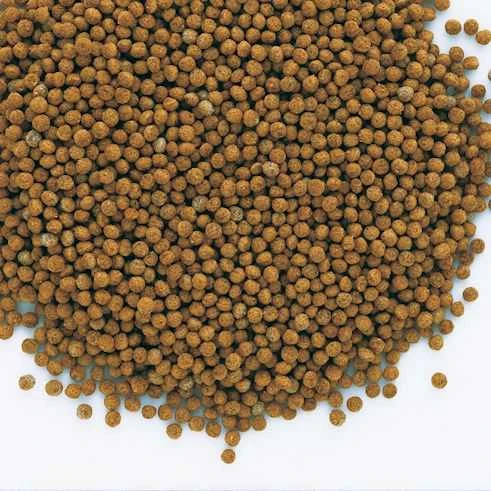  Tetra Goldfish Gold Exotic 250ml