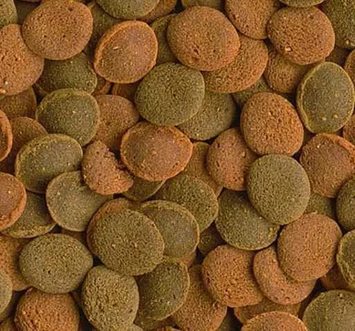 Tetra vaflių mišinys 1,85kg