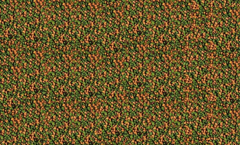 Tetra Micro Pellets 100ml/46g