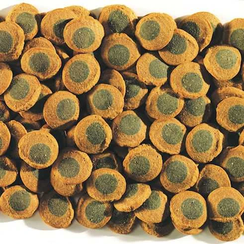 Tetra Pleco Spirulina vafliai 3,6L/1,75kg
