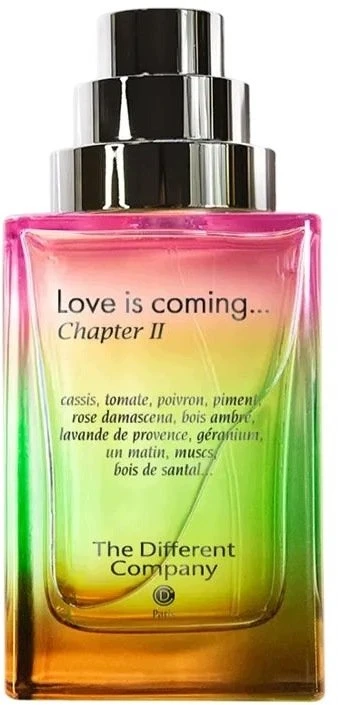 The Different Company Love is Coming Chapter II EDP kvepalai vyrams, 100 ml