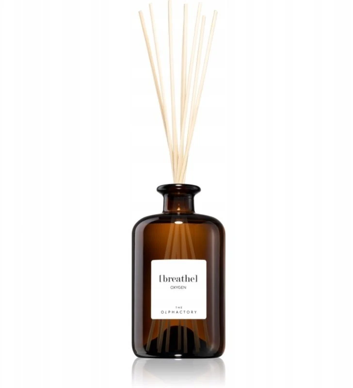 „The Olphactory Breathe Oxygen“ kvapiųjų lazdelių jūrinio aromato difuzorius su lazdelėmis, 500 ml