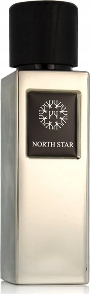 The Woods Collection North Star EDP parfumuotas vanduo vyrams, 100 ml